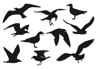 Fototapeta premium Set of silhouette of flying seagulls. Hand drawn illustration converted to vector.