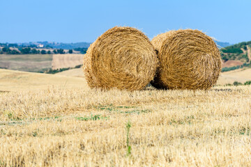 Agricoltura, campi e coltivazioni in Toscana, Val d'Orcia