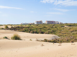 Vega Baja del Segura - Guardamar del Segura - Paisaje de dunas y vegetación junto al mar Mediterráneo