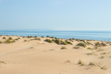 Fototapeta na wymiar Vega Baja del Segura - Guardamar del Segura - Paisaje de dunas y vegetación junto al mar Mediterráneo