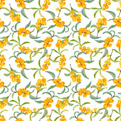 Seamless pattern of watercolor sea buckthorn branches, juicy, ripe berries and leaves, hand-painted on a white background.