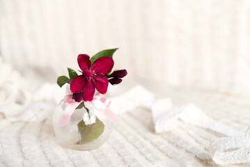 Glass vase with beautiful blooming rose branches. Light postcard background with bokeh.