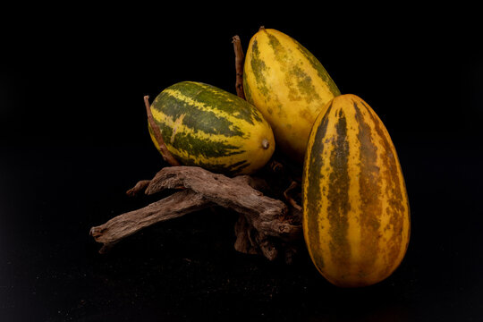 Vellery  Trichosanthes dioica, also known as pointed gourd, Vegetable, Orange and Green stripes, healthy food, isolated in black background, 3 pieces, studio lighting