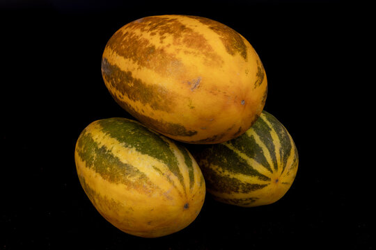 Vellery  Trichosanthes dioica, also known as pointed gourd, Vegetable, Orange and Green stripes, healthy food, isolated in black background, 3 pieces, studio lighting