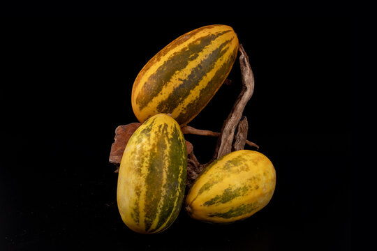 Vellery  Trichosanthes dioica, also known as pointed gourd, Vegetable, Orange and Green stripes, healthy food, isolated in black background, 3 pieces, studio lighting