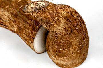 Tapioca / Kappa - roots of the cassava plant, cut and whole isolated in extendable white background shot using studio lights, Isolated, Nobody, Macro, Nutritious, Healthy Food, Roots, tropical food. 