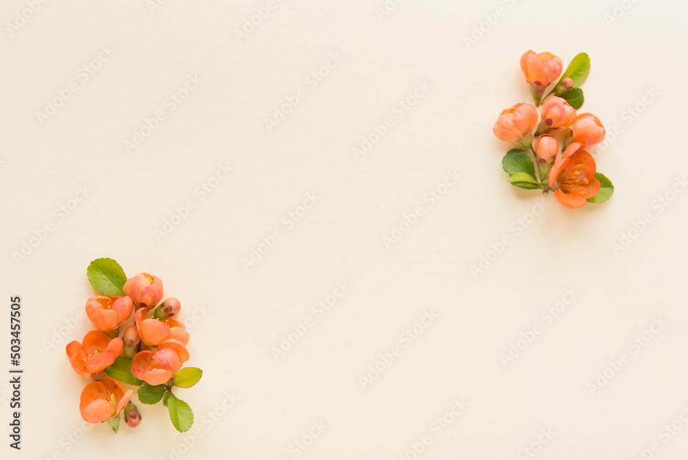 Sticker 
Beautiful flower arrangement. Bright orange flowers, free space for text on a light pastel background. Wedding, birthday. Valentine's day, mother's day. Top view, copy space