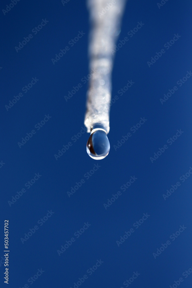 Canvas Prints icicle melting in the sun