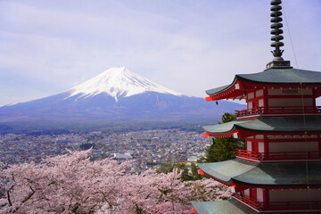 新倉山浅間公園の忠霊塔と満開の桜と富士山