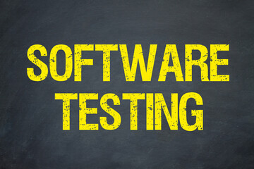 Software Testing