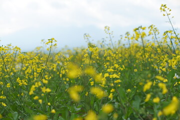 It feels like spring today