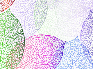 Beautiful background of leaves vector illustration.