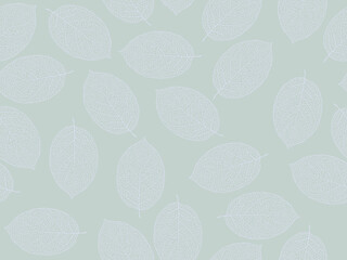 Beautiful background of leaves vector illustration.