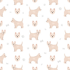 Fototapeta premium West Highland White Terrier seamless pattern. Different poses, coat colors set