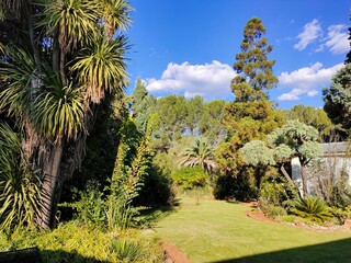 Garden Shadows and sky