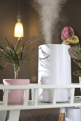 Ultrasonic white humidifier on the windowsill sprays water vapor. Sunny morning. Humidification of the air at home. Vertical photo