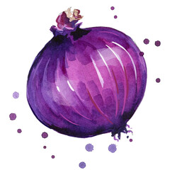 Red onion watercolor painting hand painted