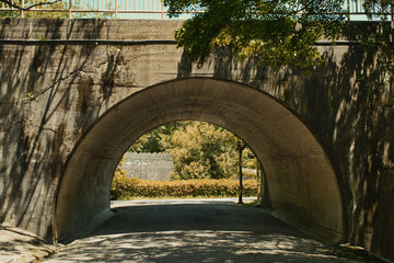 自然に囲まれた古いトンネル