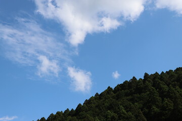 青空と緑ある大自然