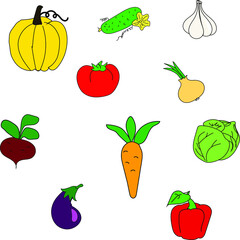 Different vegetables on a white background.