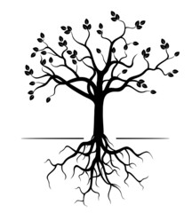 tree with roots and leaves