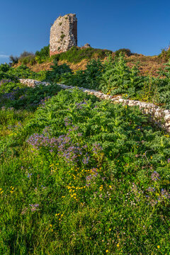 Remains of an ancient tower near the church of the Santissimo Crocifisso di Varano on the Varano lake. Cagnano Varano, province of Foggia, Puglia, Italy, Europe