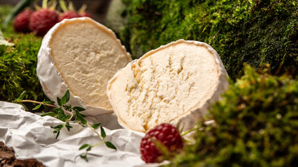 Blue cheese Soft french cheese of camembert, homemade cheese farmer, The concept of natural eco food, catering, banner, menu, recipe