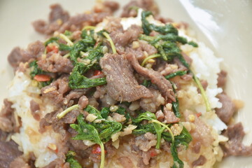 spicy fried slice beef meat with basil leaf and chili topping on rice in plate