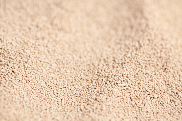 Active dry baking yeast granules background texture, top view