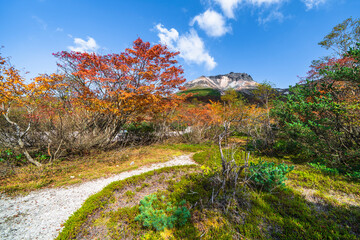 秋の那須岳（茶臼岳）　姥ヶ平の風景【栃木県・那須塩原市】
Autumn leaves of Mt. Nasu - Tochigi prefecture, Japan