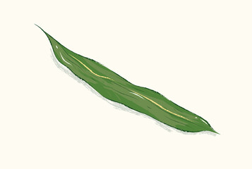 Obraz premium Top view of isolated green zongzi leaf in vector illustration art design