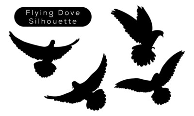 Pigeon silhouette isolated on white background  Vector illustration.
