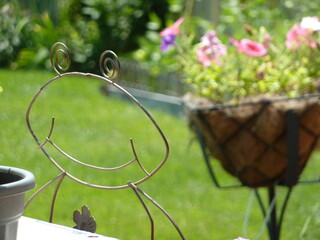 Cute frog and flowers