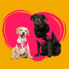 Contemporary art collage with two cute dogs that is hugged by drawn human hands against background of drawn heart. Love, care concept