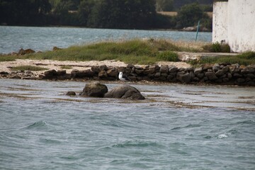 village on the river