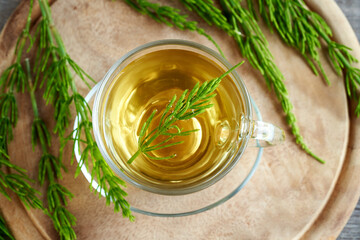 A glass cup of horsetail tea with fresh horsetail plant