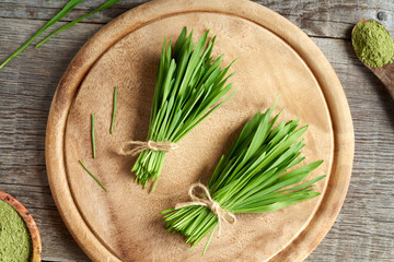 Freshly harvested barley grass with barley grass powder