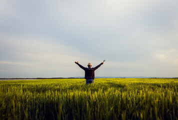 Rear view of senior farmer standing in barley field with his outstretched arms at sunset. - obrazy, fototapety, plakaty