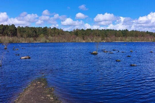Blakemere Moss lake in Delamere Forest Cheshire on a spring day
