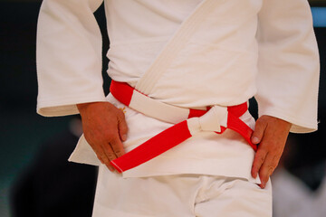 柔道の帯、紅白帯