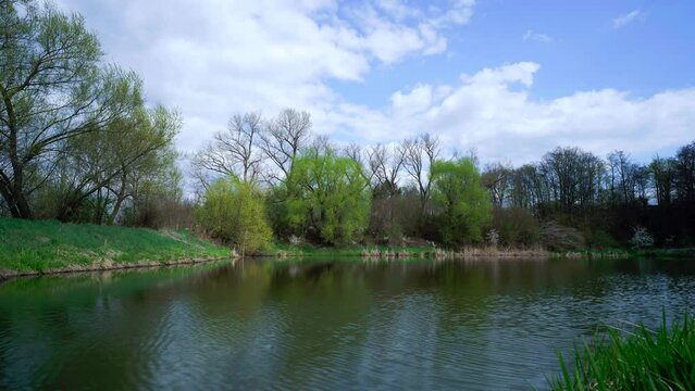 Time lapse footage of clouds passing over still pond in middle of woods creating perfect symmetrical reflection almost like a mirror.