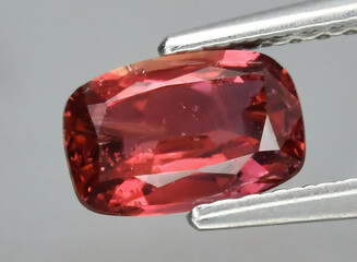 Natural gemstone red sapphire in tweezers on a gray background