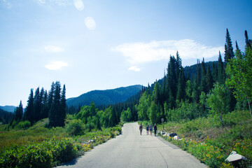 Fototapete bei efototapeten.de bestellen   