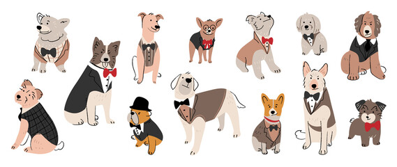 Set of cute dogs vector. Lovely dog and puppy doodle pattern in different poses, formal, tuxedo suits and breeds with flat color. Adorable pet characters hand drawn collection on white background. © TWINS DESIGN STUDIO