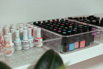 a set of nail polish of different colors at the nail master