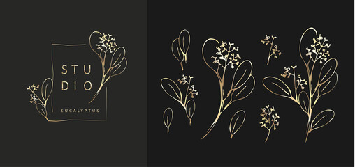 Set of inimal feminine botanical floral branch and logo. Hand drawn wedding herb, homeplant with elegant leaves. Botanical rustic trendy greenery vector