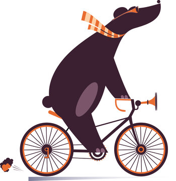 Animal Bicycle Images – Browse 48,485 Stock Photos, Vectors, and Video |  Adobe Stock