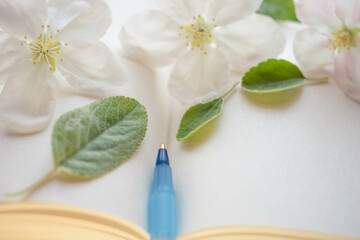Closeup open book with blank sheets and a blue pen, white fresh apple flowers and green leaves on paper sheet.