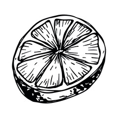 Vector lemon clipart. Hand drawn citrus icon. Fruit illustration. For print, web, design, decor, logo.