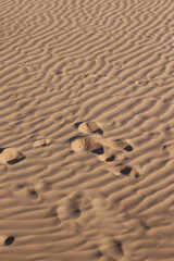 Sand background in sunset light